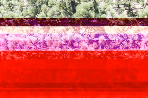 Item #59100591460969090848093152469102707440885830414673782650703488573149456367617 Media