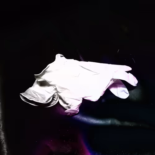 Item #19579465332489047460725573155417411555821182543570600011556976567502705262593 Media