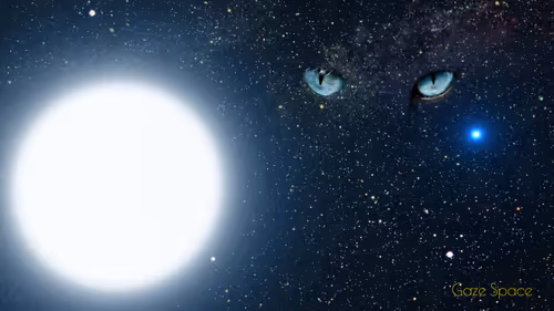 Item #63475483141840614417604835703532972748212131318874928986488791784420542513153 Media