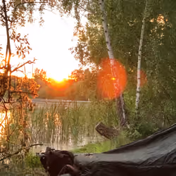 'The Overnighter'