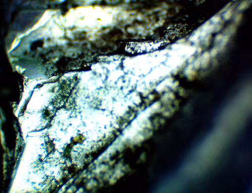 Item #71646257518770613568983710813551014237803002136866425209291834632124982362113 Media