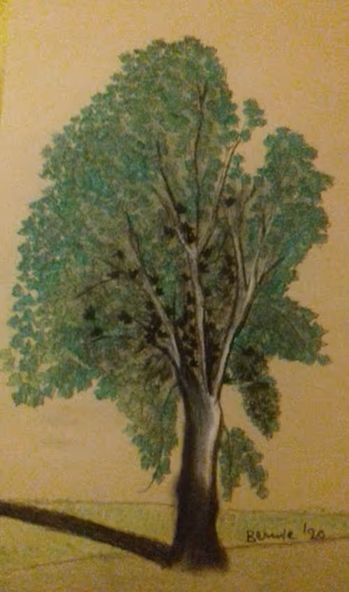 Item #99125017457638883826248316296505876439245924875987117084464433418093818019841 Media