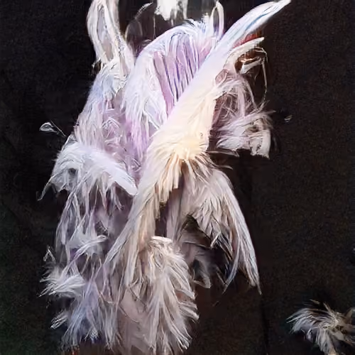 The Non-Human Artwork Project #48
