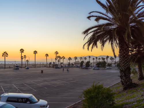 Item #62617397375757312297803897609954755559227699621957103885912270316491648270337 Media