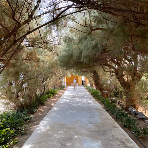 choose the right path 