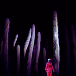 Astro Monolite Cactus Forest #005
