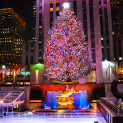 NYC Christmas!