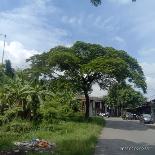 Item #15416064837448188610247350204521494909343598378477019548960405604814366441473 Media