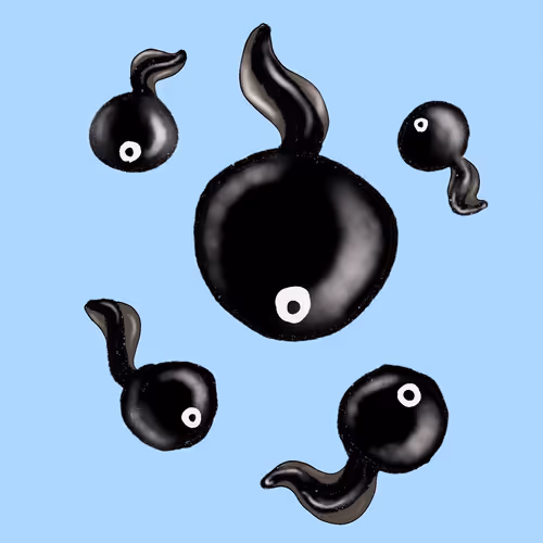 Item #63394889464776947640994999177042947820752530038038357440375934252666622836737 Media