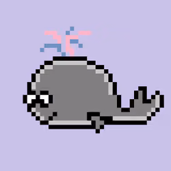 Blue Whale Go #300