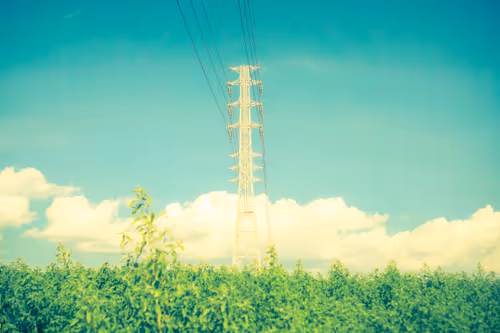 Item #87724672545568216492349628543176573267958151988335217142690977311421320134657 Media