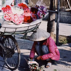 Bác Bán Hoa (The Flower Seller)