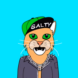 Salty Punk Cats #30