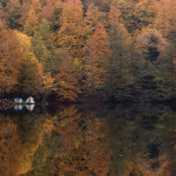 Camping By Lake