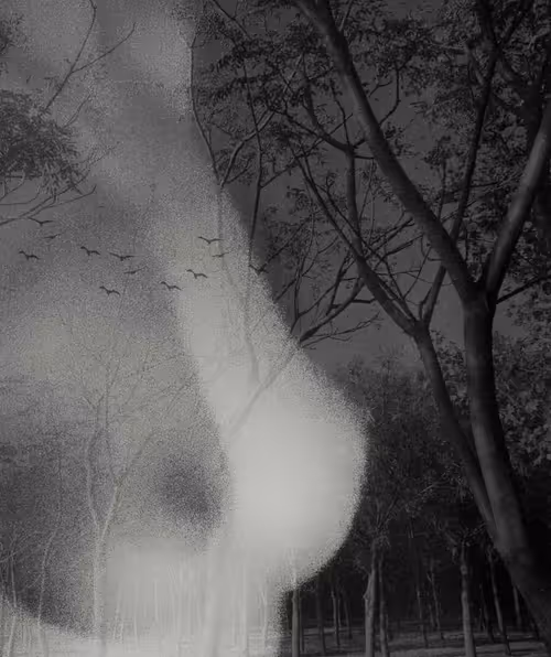 Item #56385213915100806047282226469103412058726397234198873108436401874897358290945 Media