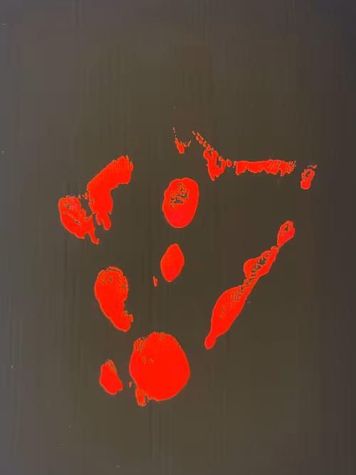 Item #82156306384610747966184862212727550247456131418142315154672423528135456194561 Media