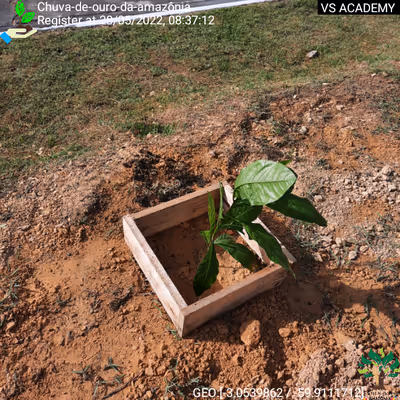 Item #8500196597889277390194123329501889087166328879864934763448348828114360467457 Media