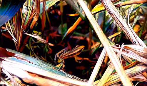 Item #81269833061274051173789884418282317830923519221172308843662164492266189619201 Media