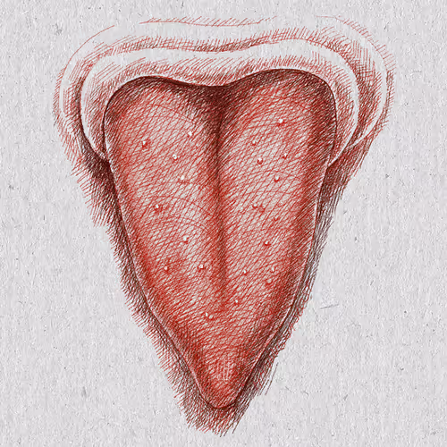 Item #27921743008571817687184646178926159877577224498393299984677393010857506504705 Media