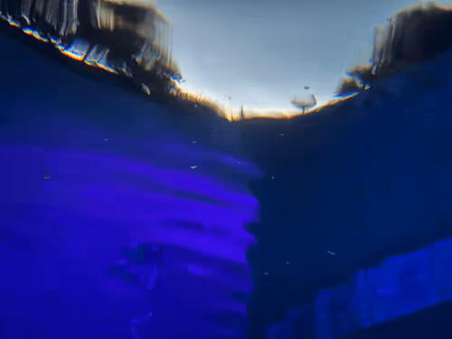 Gelos_HaHa Collection