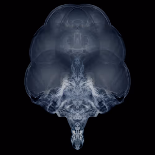 Item #85859191866638808365331437874953228966785819470149775310971061500098738388993 Media