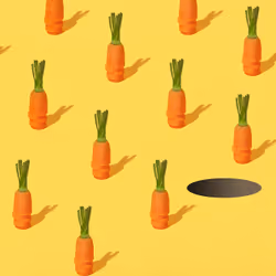 Rabbit Hole