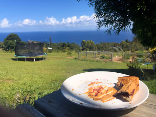 Item #111384347419130010131898734196272882001680551158239169533315207273485923516417 Media