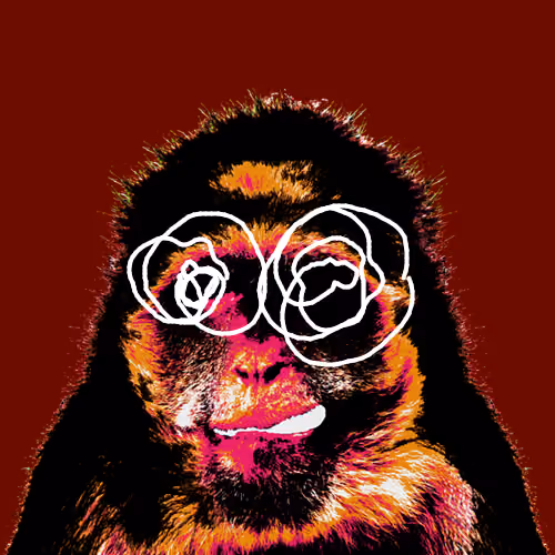 Apes are no laughing #062