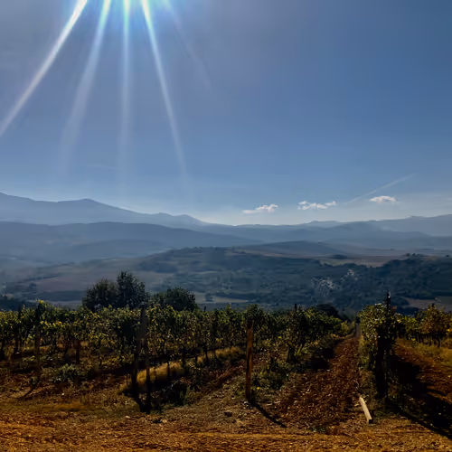 Moto In Italia