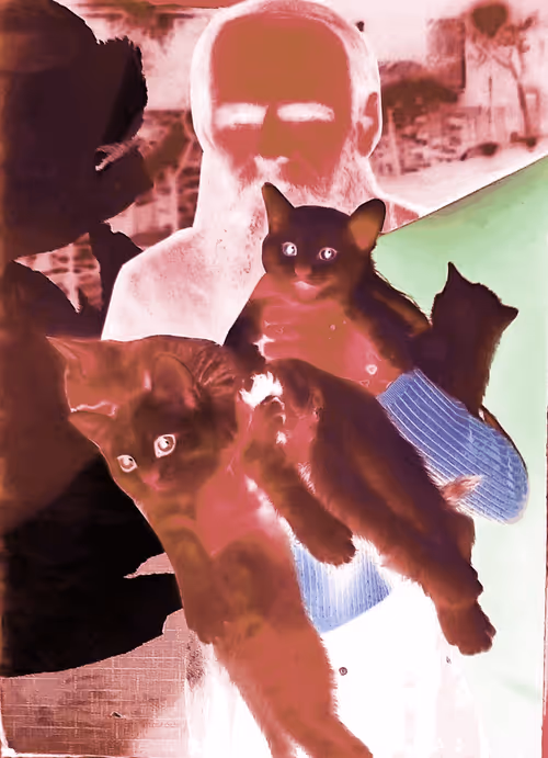 Item #4747115153065902387790593868107453782499677024781155622119190416112427728897 Media