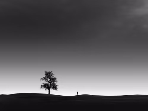 Item #108814857691029429230781820568210235490063919231059486623727012666270833180673 Media