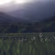 54677350667157468755022164292043270578071662192406643561732002915085277200385