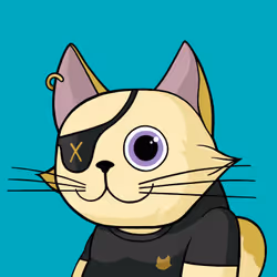 Michi Cat #0062
