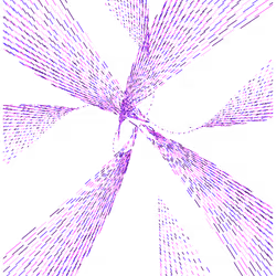 OPTIC VIEW