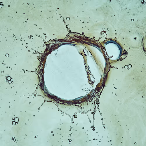 46489901761508154690977052556102681350934379687164571149816291770070816784385