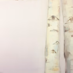 杨树Poplar