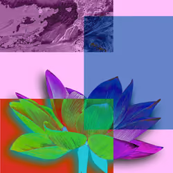 FLOWER.