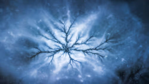 Item #44597214207808434690728600590910675747721082411314355056024202372588479971329 Media