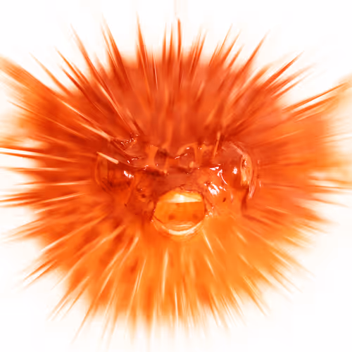 Untitled Collection #21158040