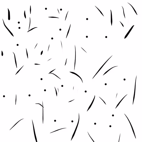 Item #51335003781964713415210229151572114422576084416265732357281614297598653366273 Media