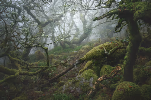 Item #72639390708267126639436568569652760193401123475841185469851730230165492465665 Media