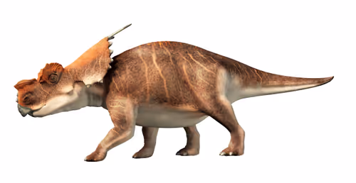 Item #15201862250514145958676777466825728141953005429687029988591517085390472216577 Media