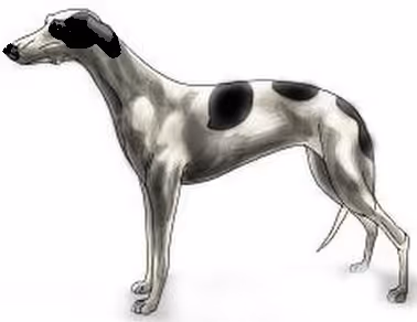 Item #38866735263683865977292584082077410477738713123443786495428333396141161840641 Media