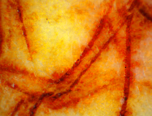 Item #71646257518770613568983710813551014237803002136866425209291834302271494029313 Media