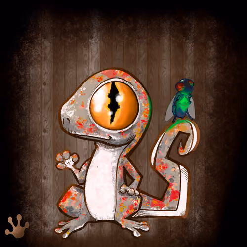 Geckoooo 01