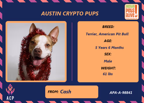 Item #17951378556605612276483806045649535824451571419947225201384628508452966105089 Media