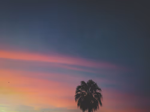 Item #21003182780561147635640355660511688269612579850409373153496925103764302462977 Media