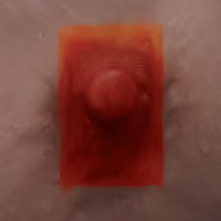Bodies_2.0