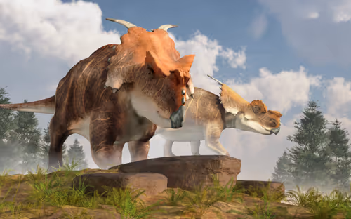 Item #15201862250514145958676777466825728141953005429687029988591517083191448961025 Media