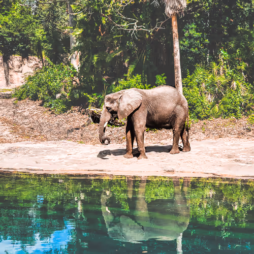 Item #25871028122129178541385701155432534229665560837629165560287586641260587253763 Media